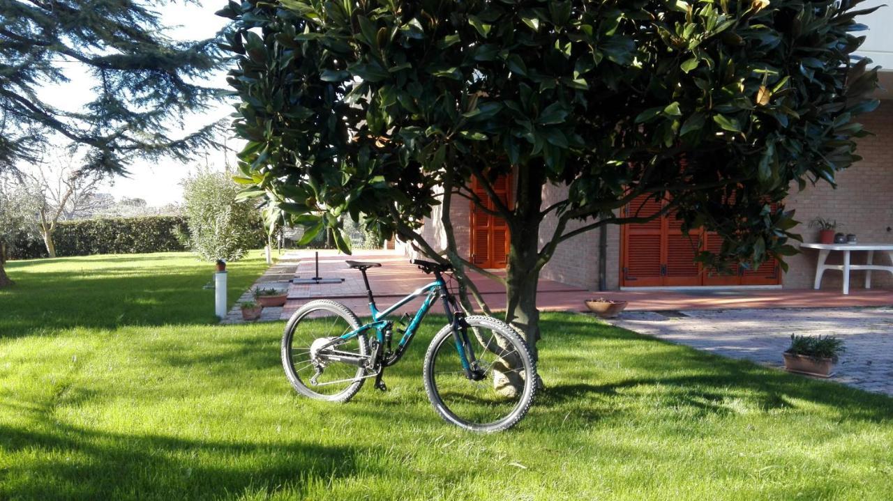 Country House Bike Friendly Famiglia Belleggia Apartment Porto Sant'Elpidio Exterior photo